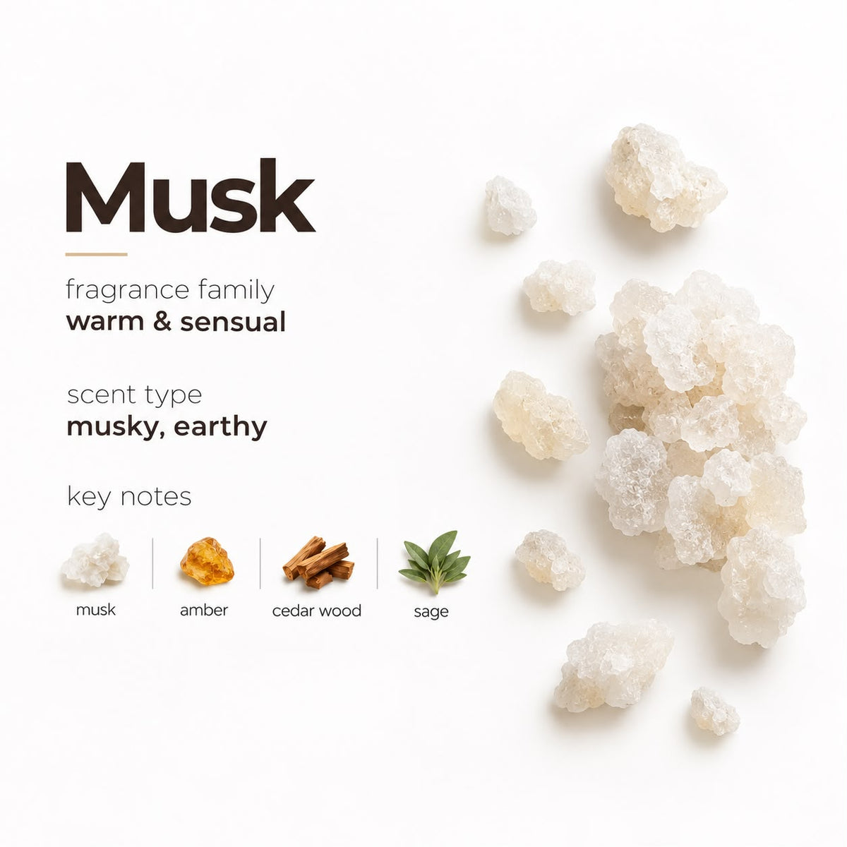Musk Luxury Car Perfume Spray with Hanging Card
